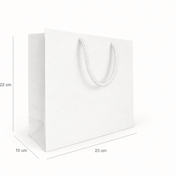 Çantë Kartoni 22x10x23 cm